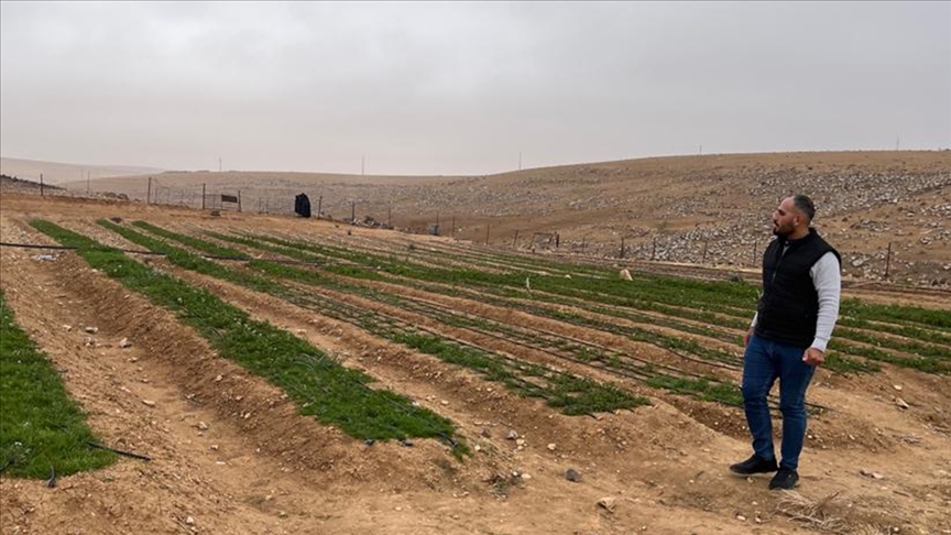 Madar Al-Saa Images 0.9186107608876588