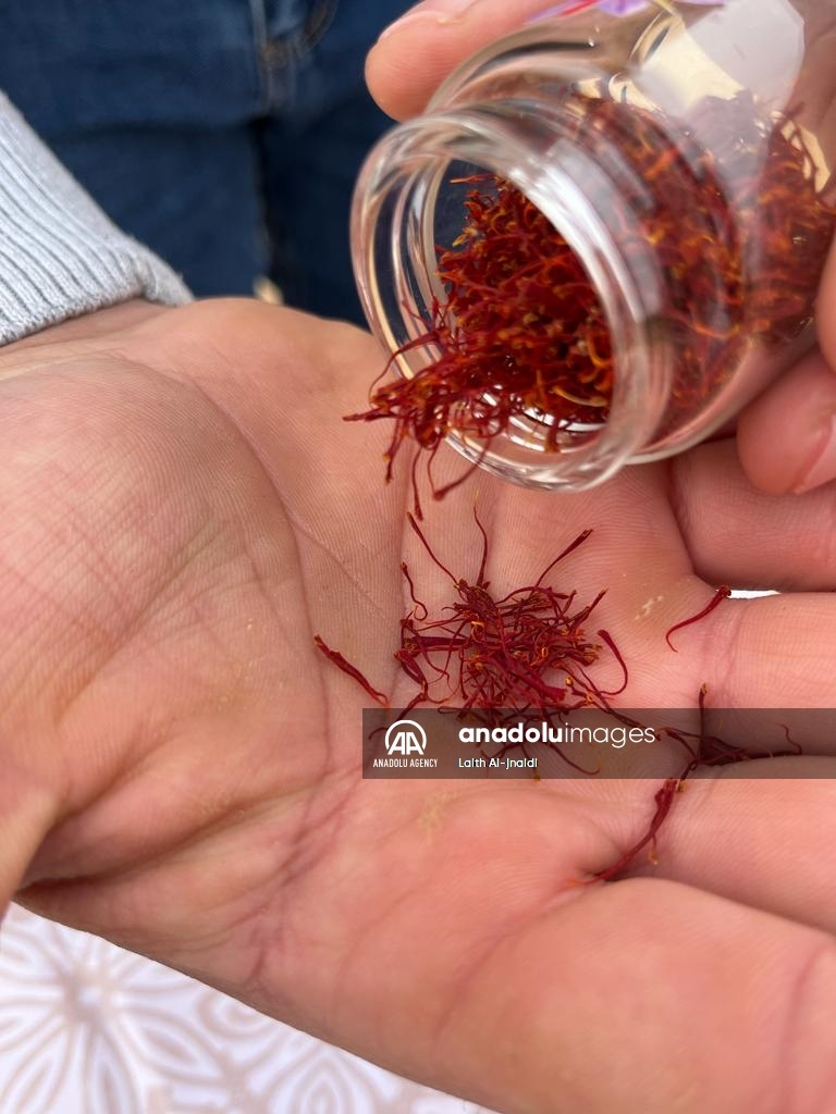 Madar Al-Saa Images 0.17602613203607387