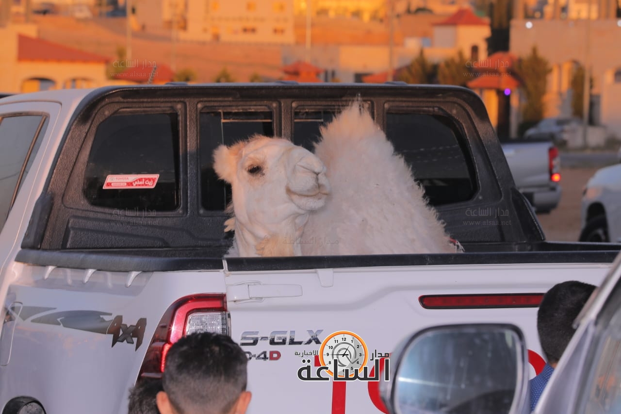 Madar Al-Saa Images 0.5345591890010495