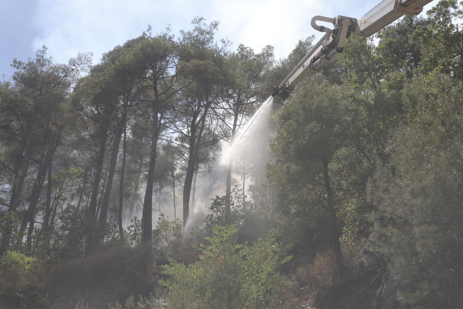 Madar Al-Saa Images 0.6173616025191663