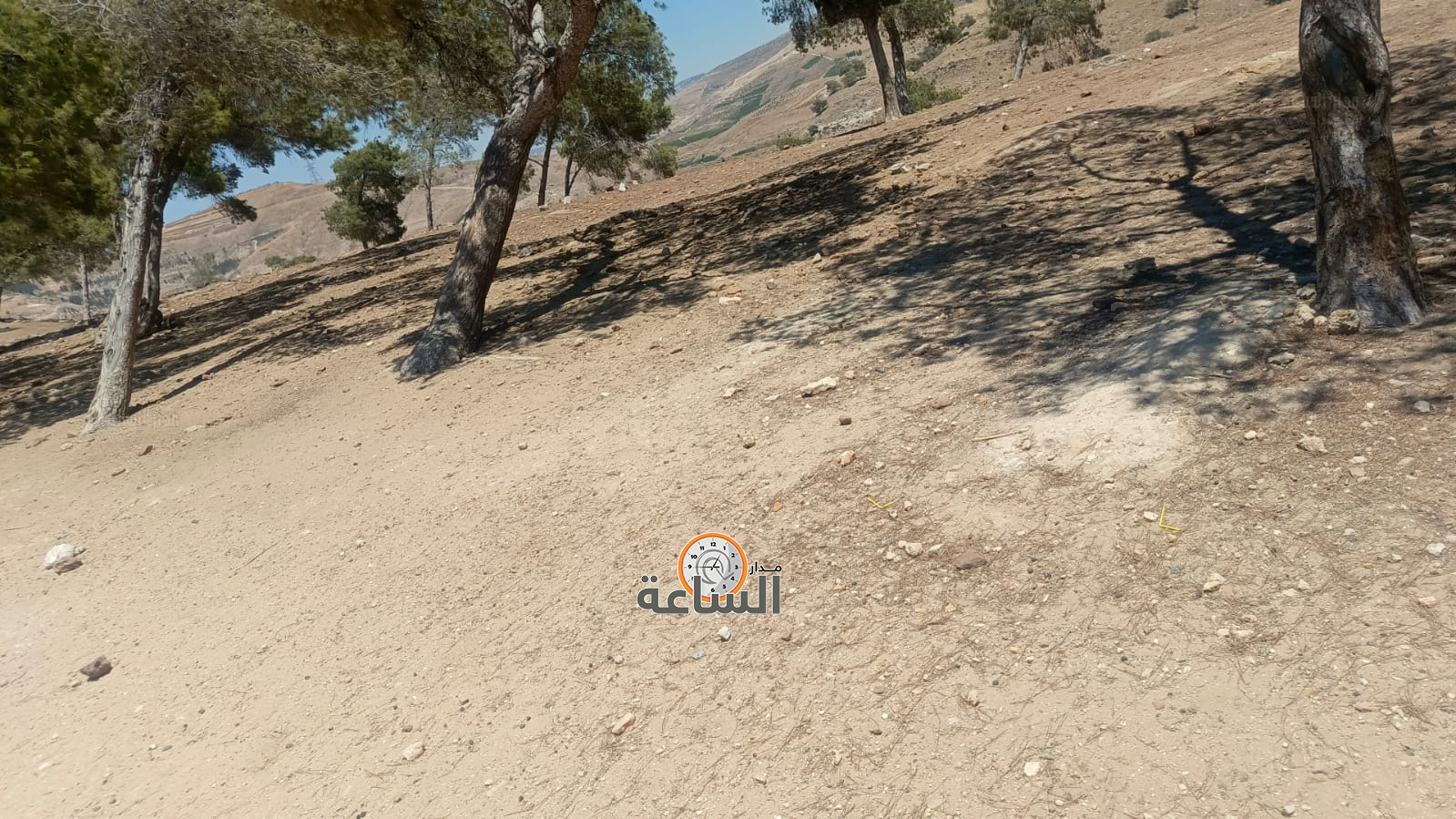 Madar Al-Saa Images 0.9869714964914398