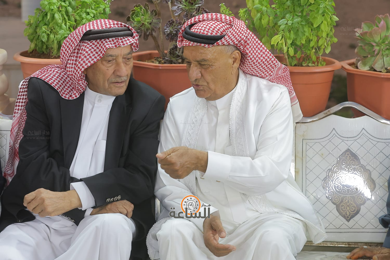 Madar Al-Saa Images 0.9979078771615364