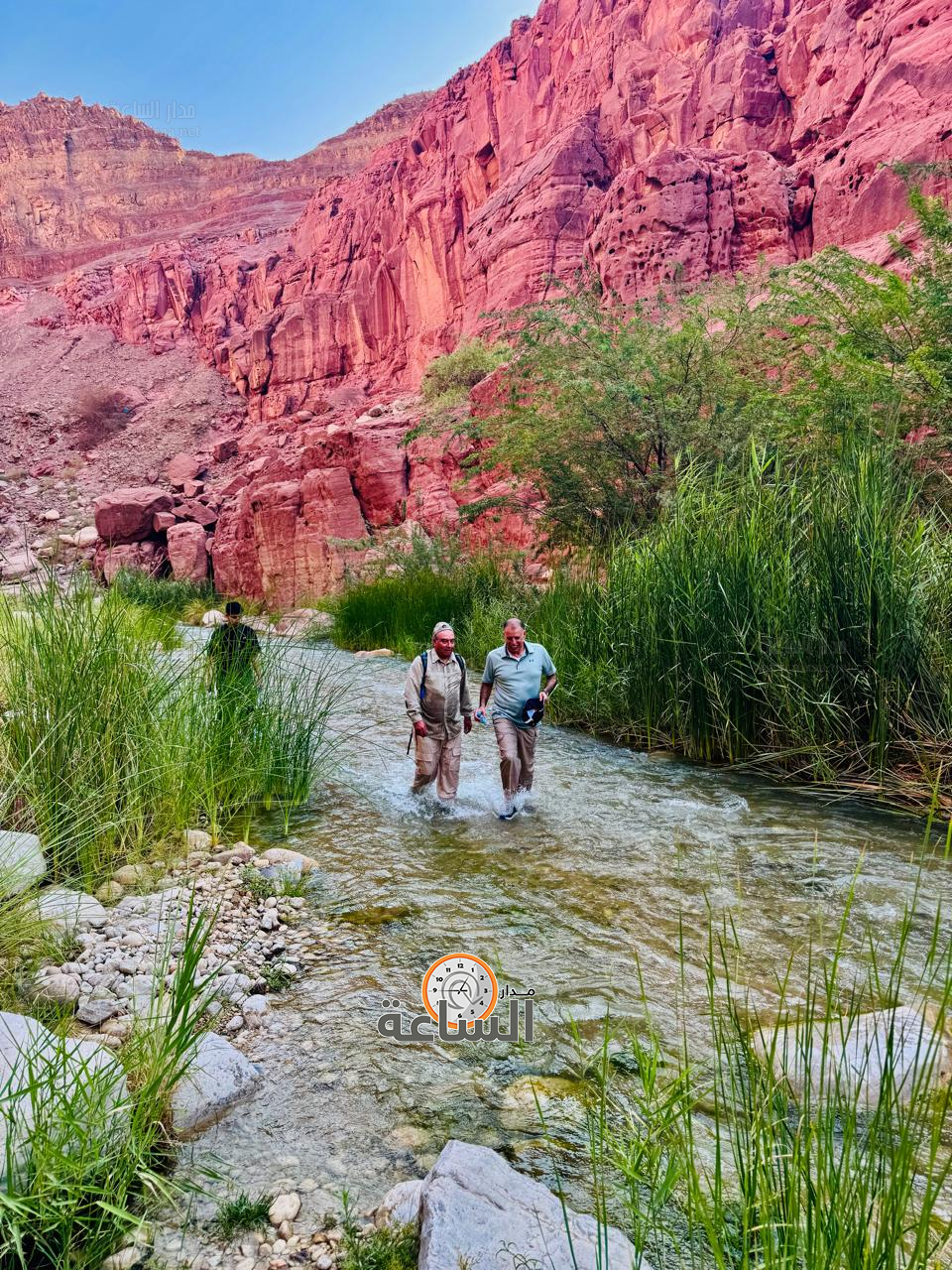 Madar Al-Saa Images 0.13556849672927573