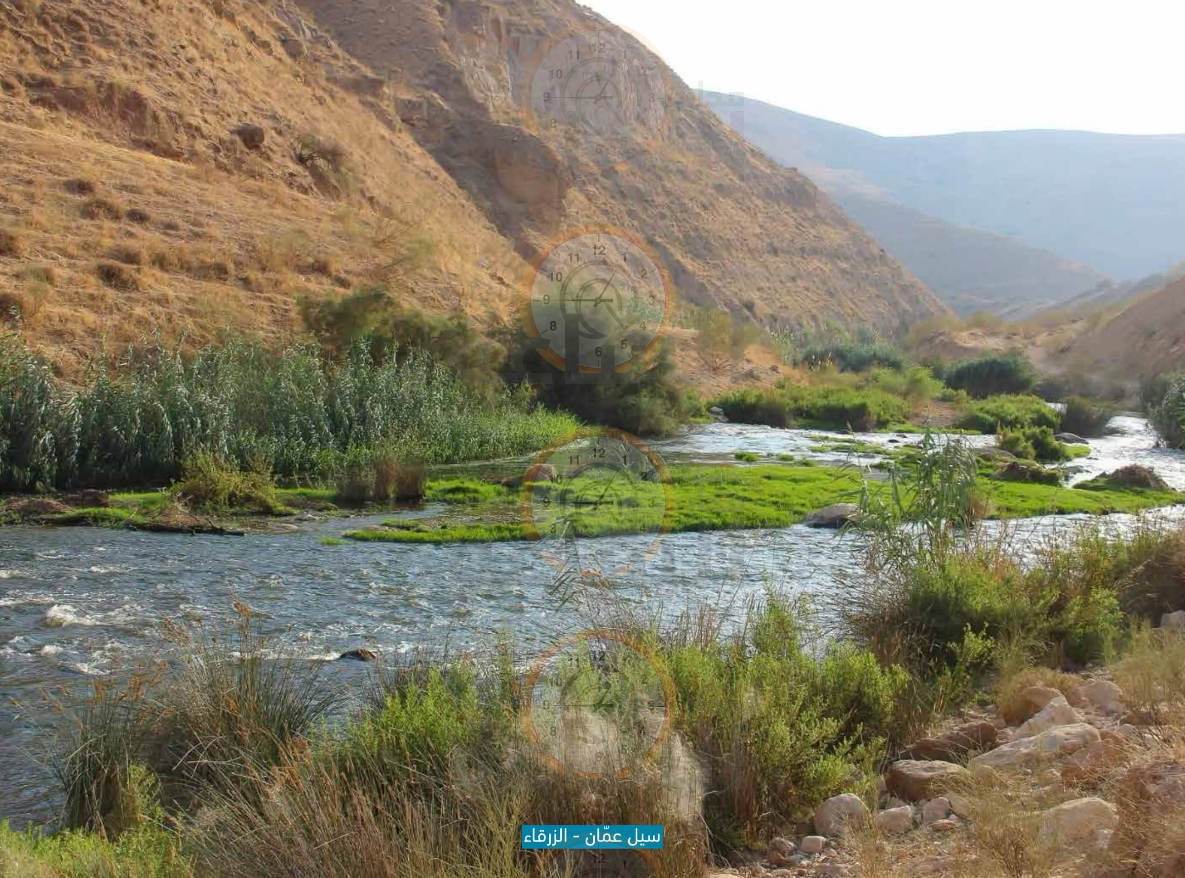 Madar Al-Saa Images 0.6630692796634017