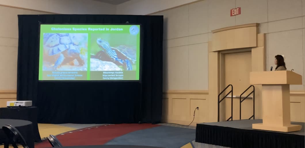 Madar Al-Saa Images 0.08348254828584989