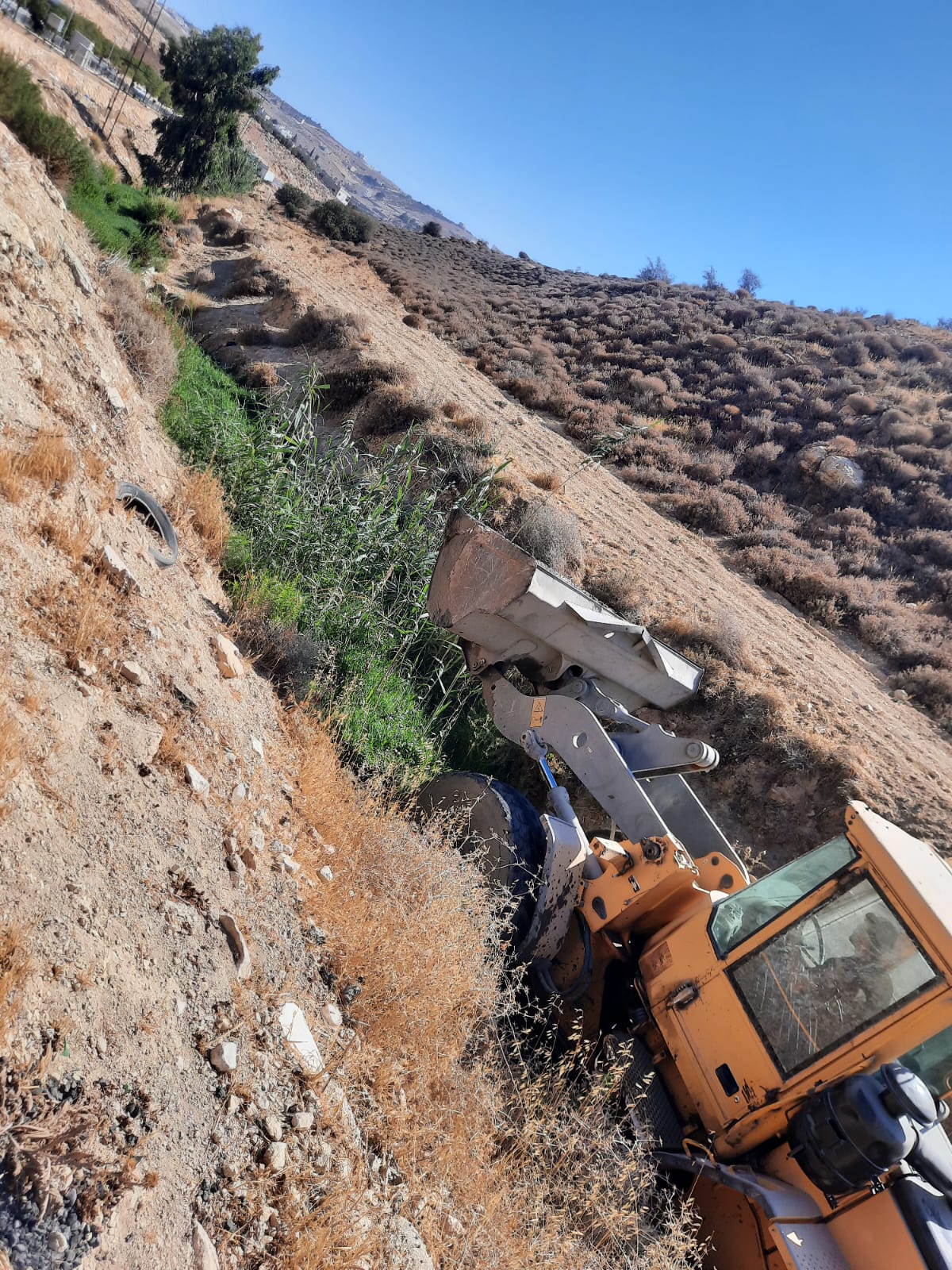 Madar Al-Saa Images 0.2012259817680374