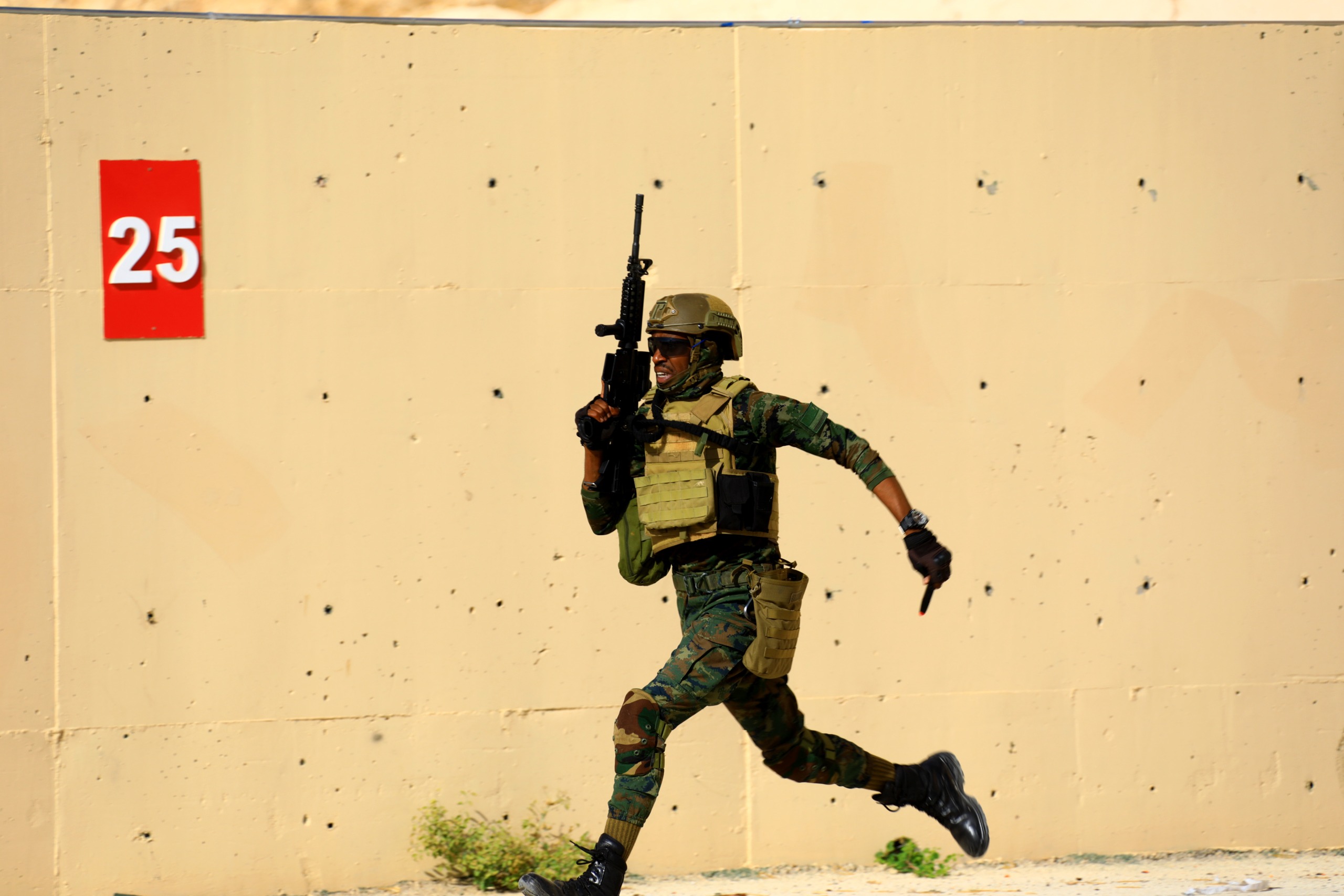 Madar Al-Saa Images 0.5679000599068137