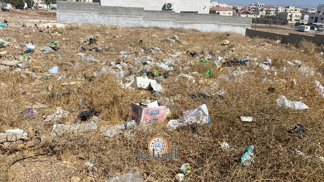 Madar Al-Saa Images 0.2390324579295814