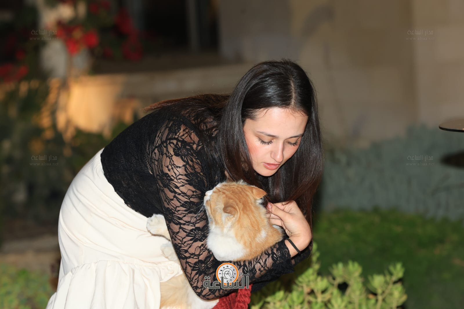 Madar Al-Saa Images 0.2687222724649466