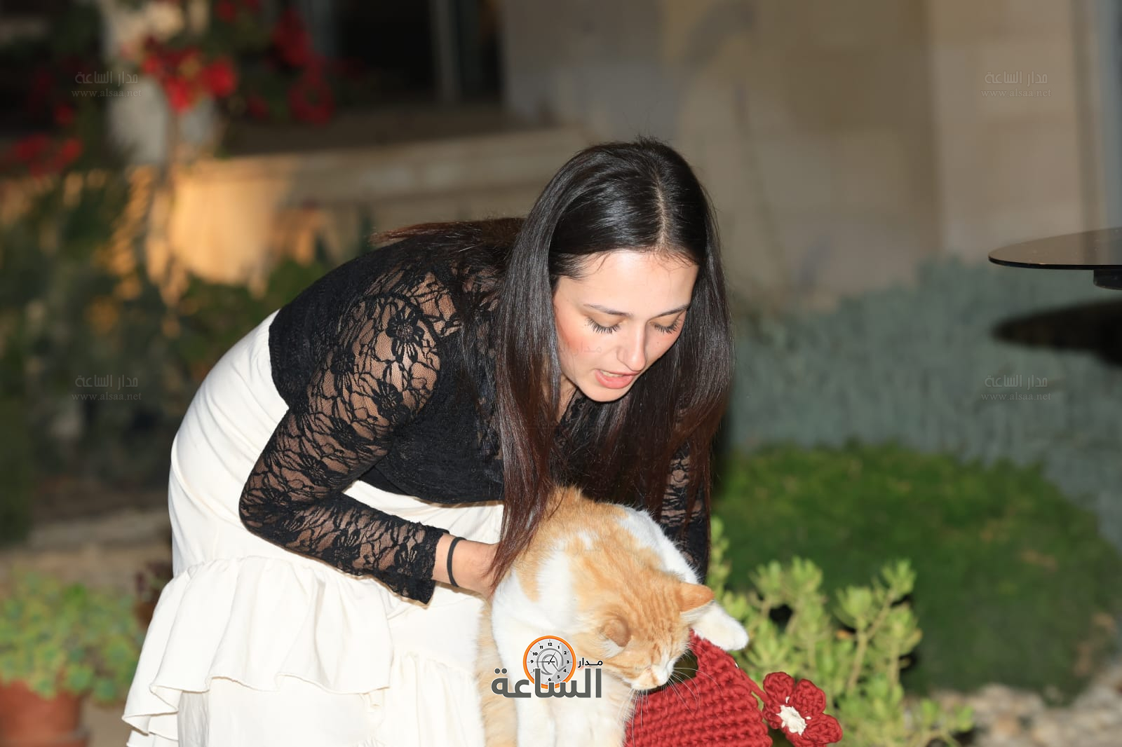 Madar Al-Saa Images 0.5593461666843753