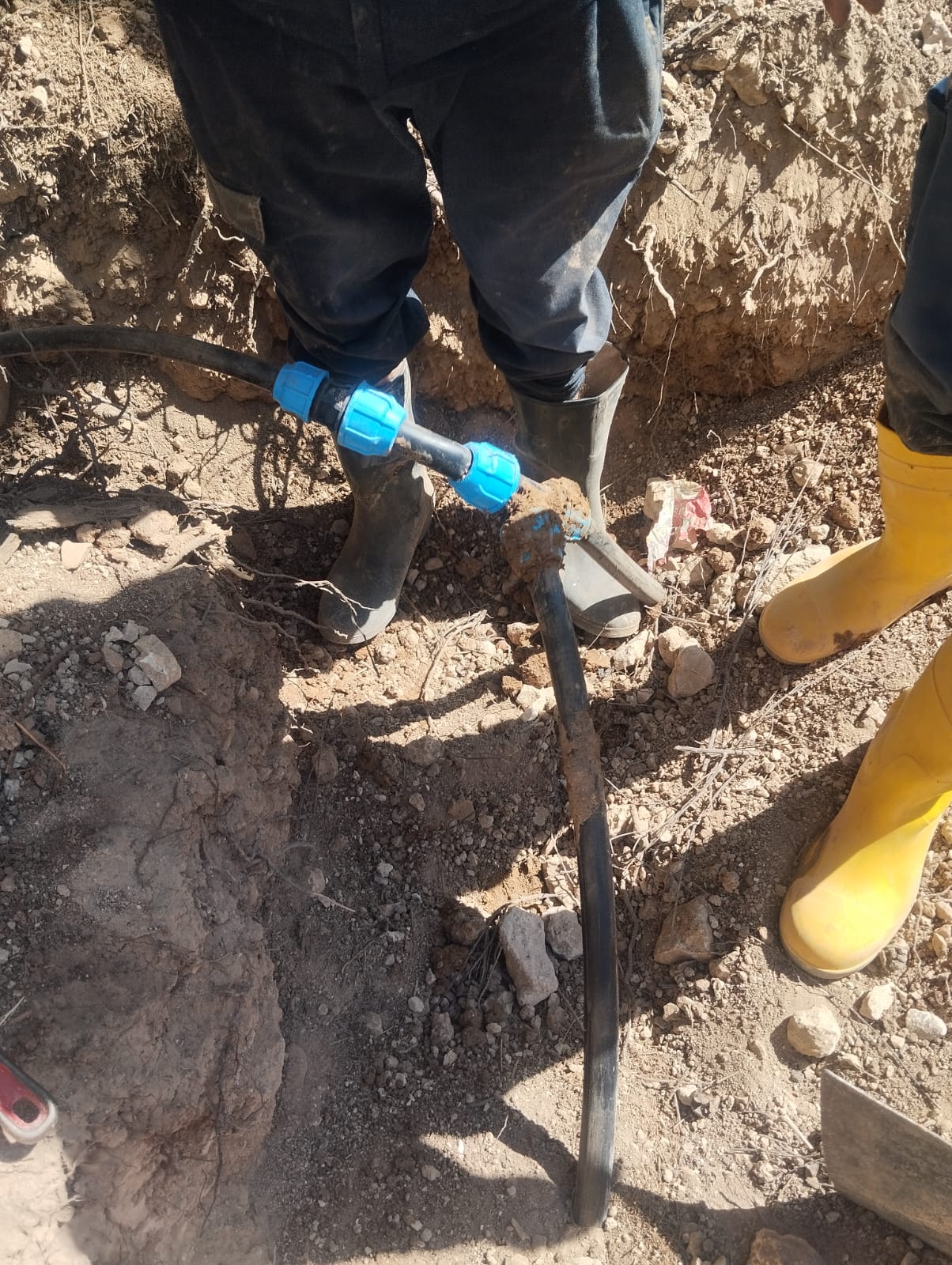 Madar Al-Saa Images 0.11575323382652858