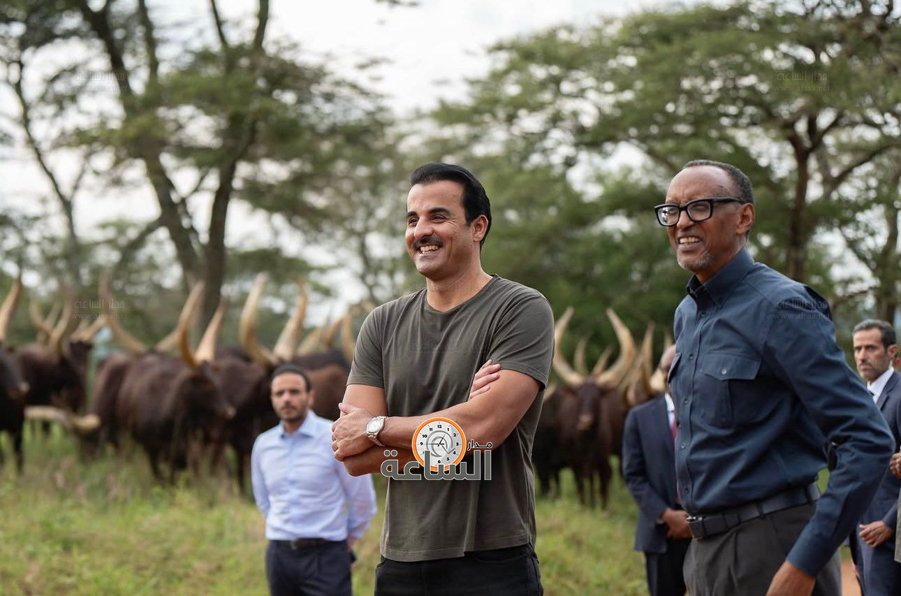 Madar Al-Saa Images 0.028763114874141293