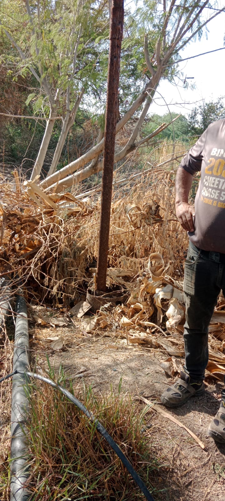 Madar Al-Saa Images 0.34843244564249154