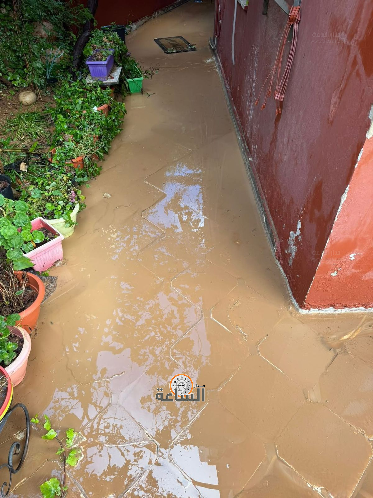 Madar Al-Saa Images 0.45529032430587246