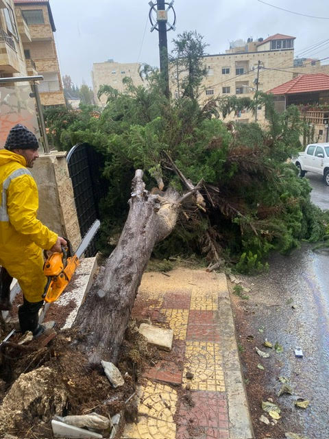 Madar Al-Saa Images 0.06892984039226102