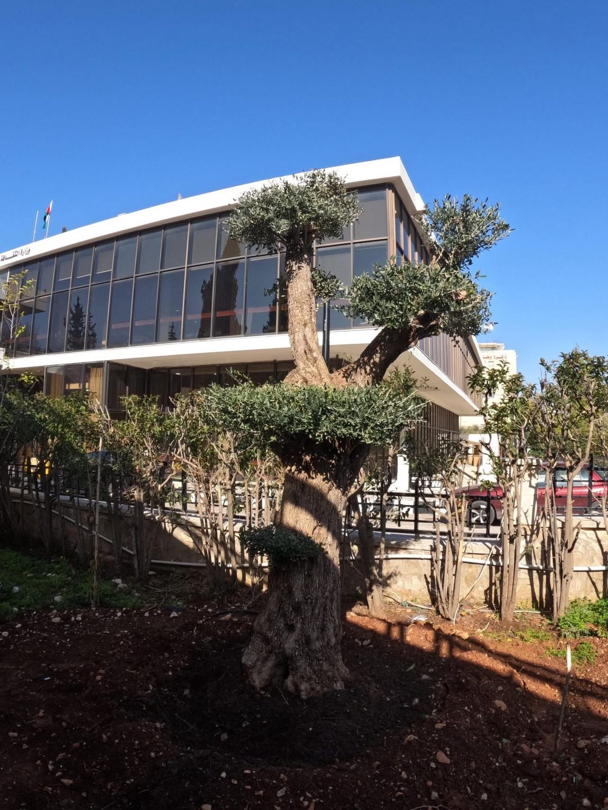 Madar Al-Saa Images 0.7790108621108435