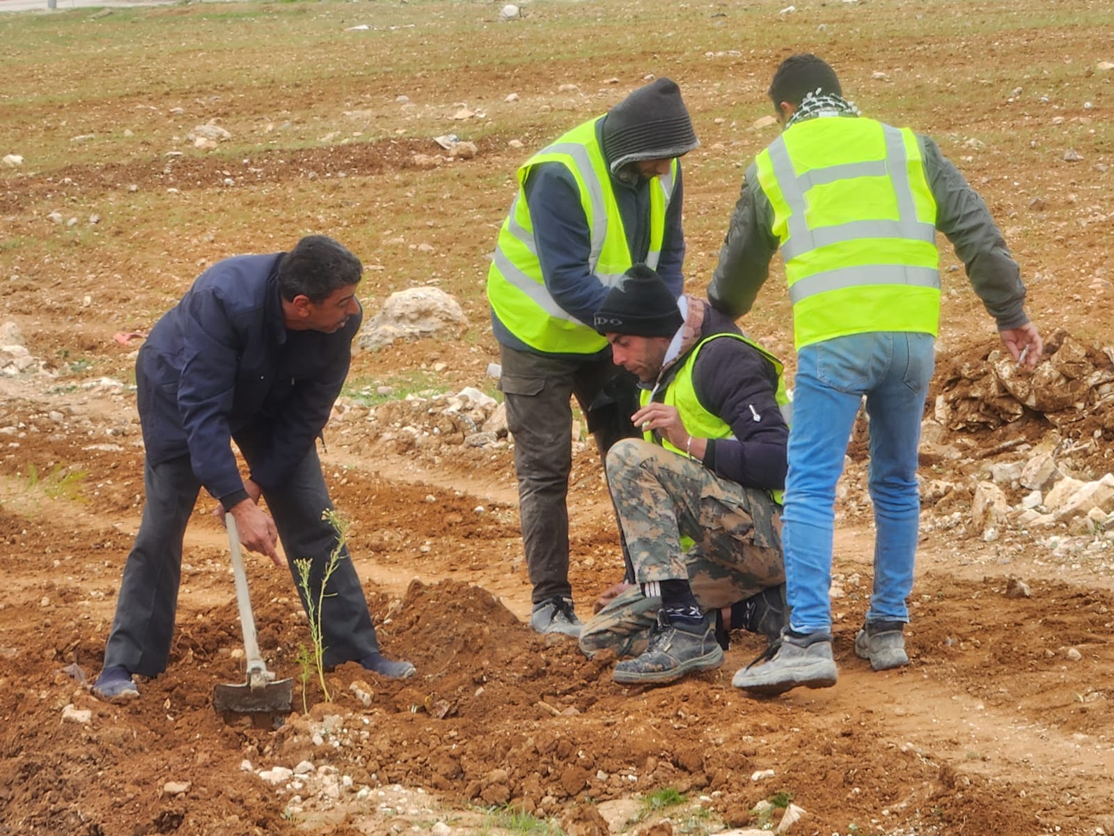 Madar Al-Saa Images 0.021551997675584245