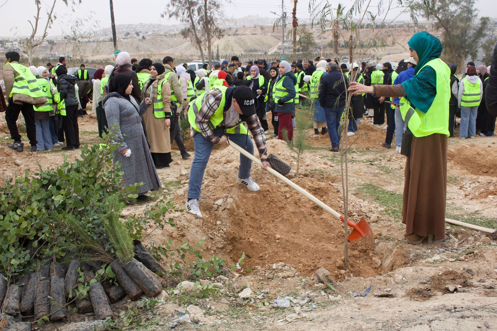 Madar Al-Saa Images 0.5854011293256386