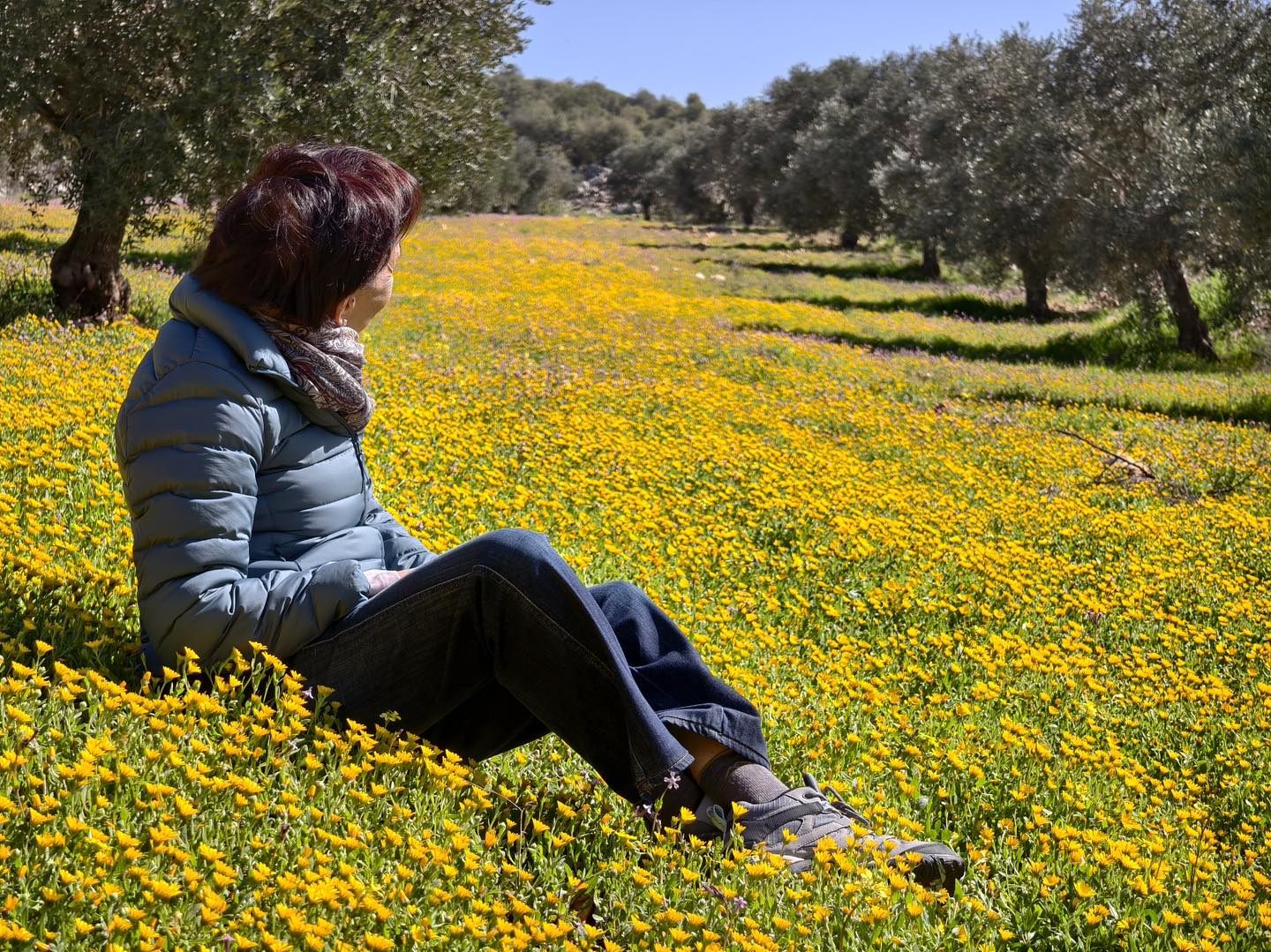 Madar Al-Saa Images 0.10513314621050296