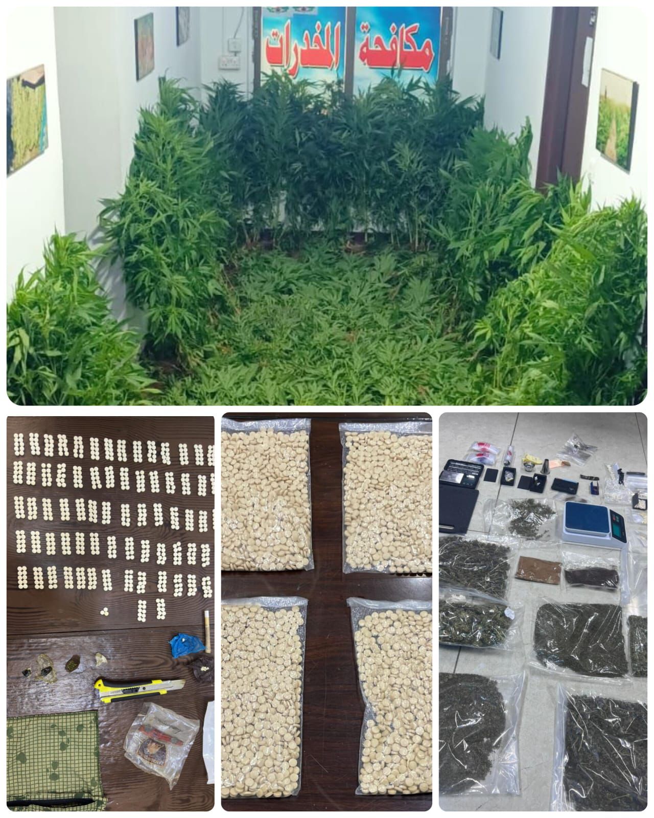 Madar Al-Saa Images 0.5139938380551767