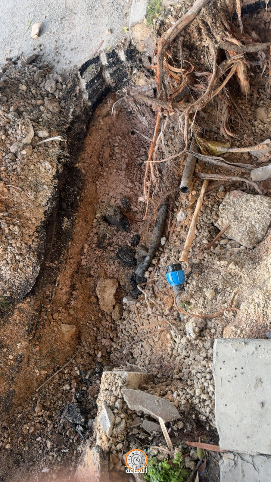 Madar Al-Saa Images 0.9386338913545773