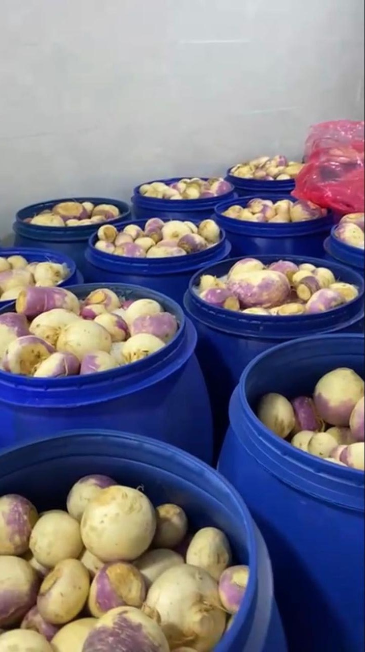 Madar Al-Saa Images 0.3525080086859391