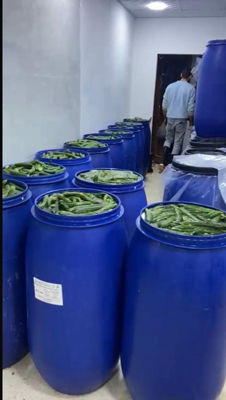 Madar Al-Saa Images 0.3206838343268992