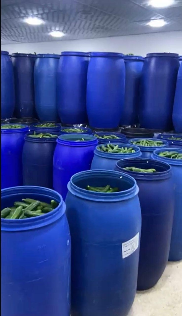 Madar Al-Saa Images 0.3816839109444412