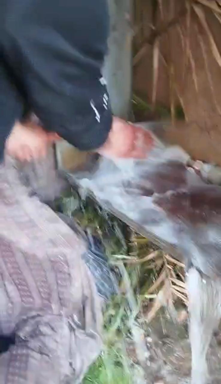 Madar Al-Saa Images 0.18780604767302356