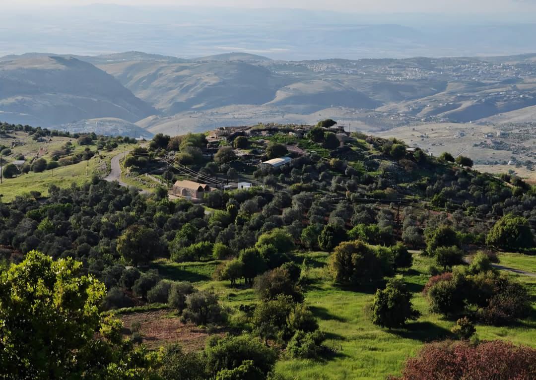 Madar Al-Saa Images 0.1648697734143978