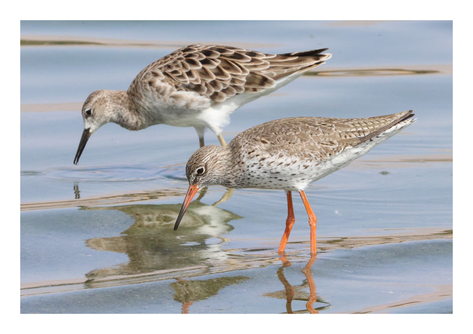 Madar Al-Saa Images 0.37217880246769053