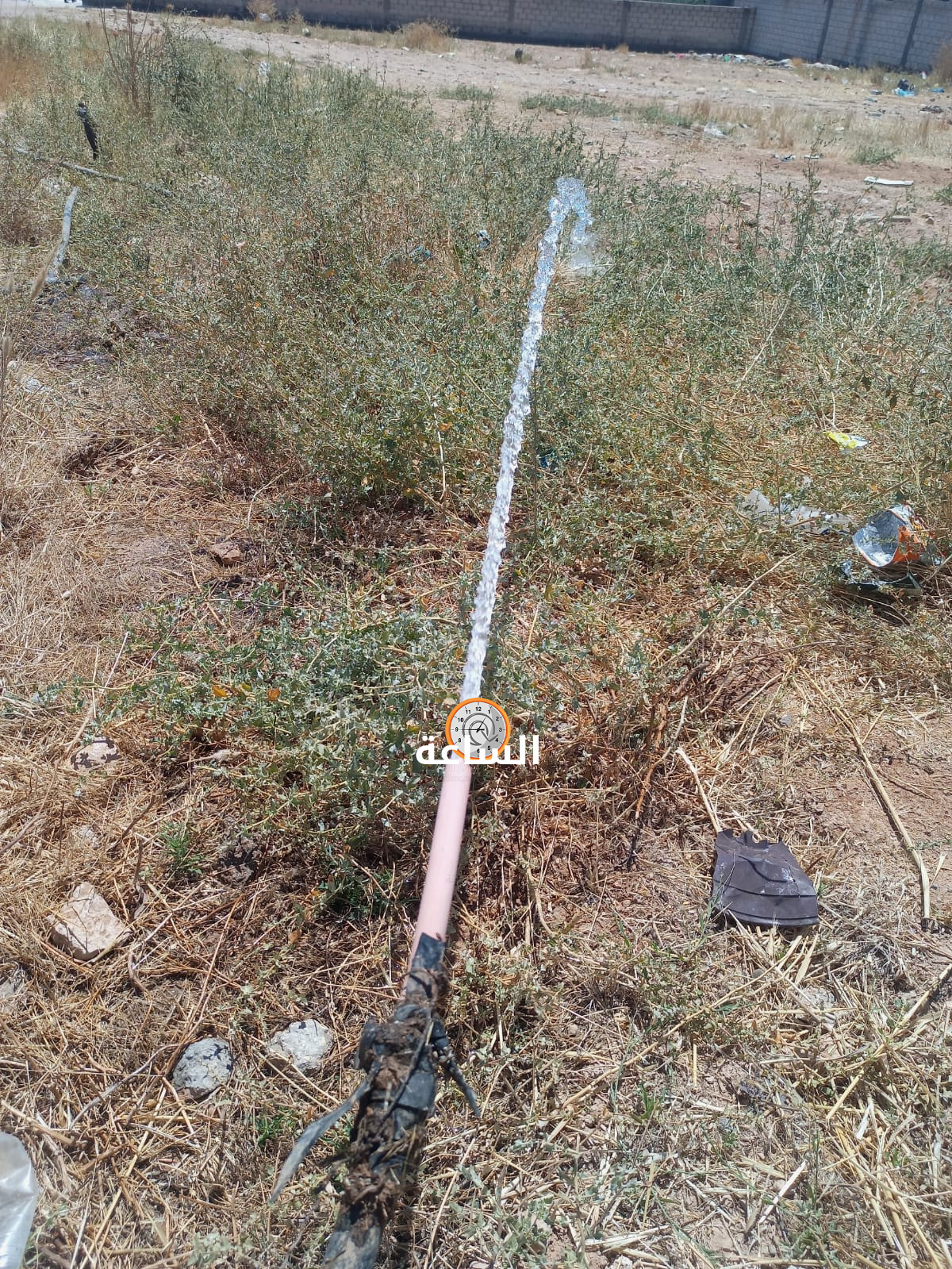 Madar Al-Saa Images 0.7130687288753449
