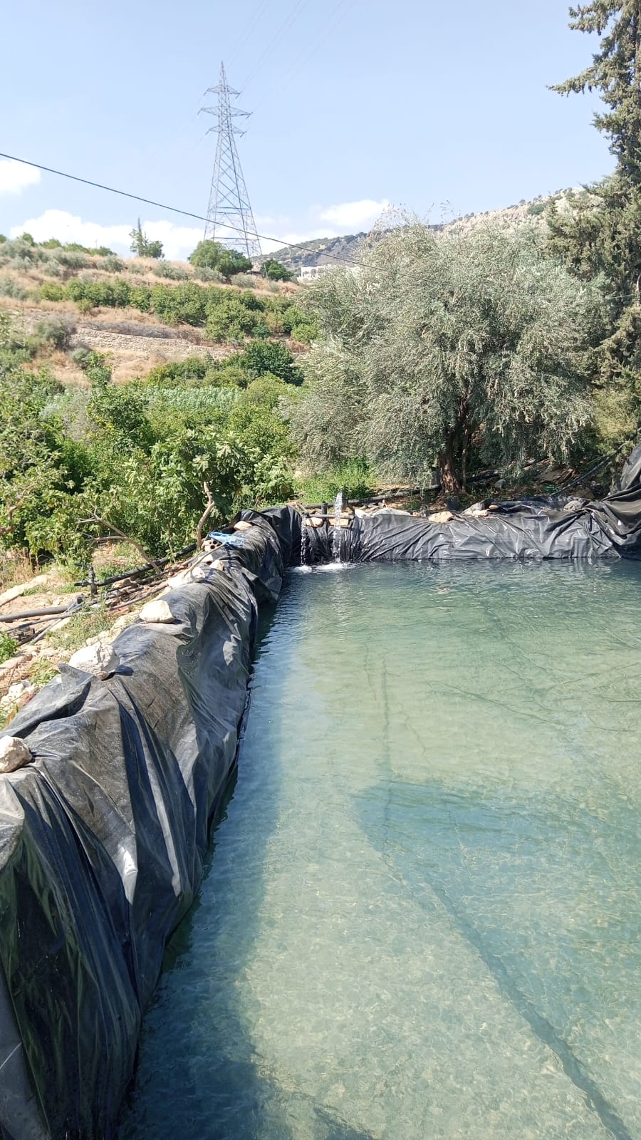 Madar Al-Saa Images 0.4458004285059026