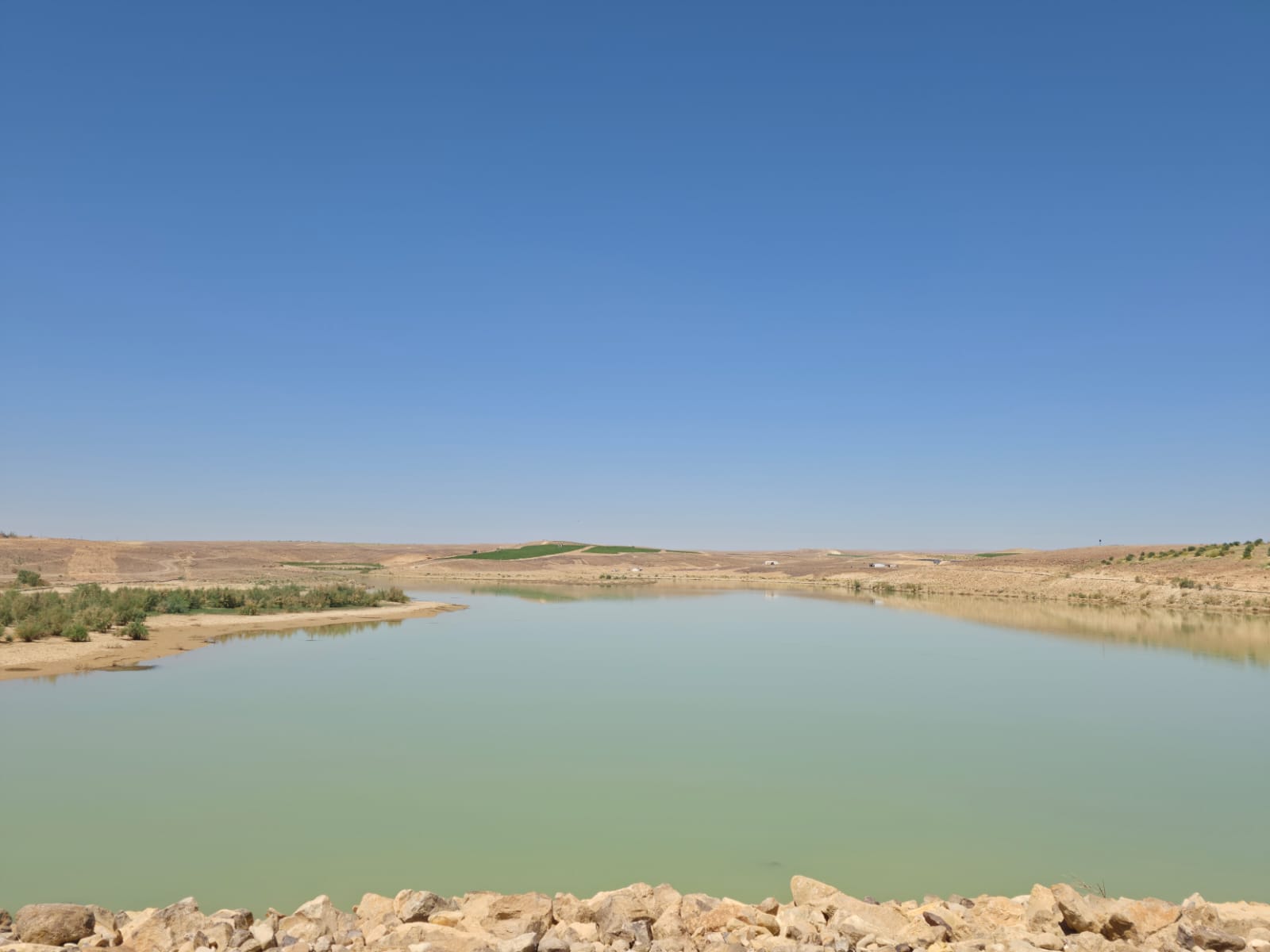 Madar Al-Saa Images 0.6647574957643473