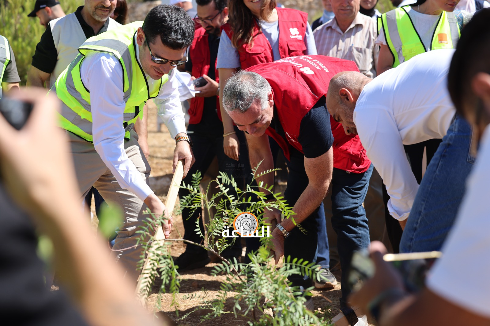 Madar Al-Saa Images 0.25015000662991693