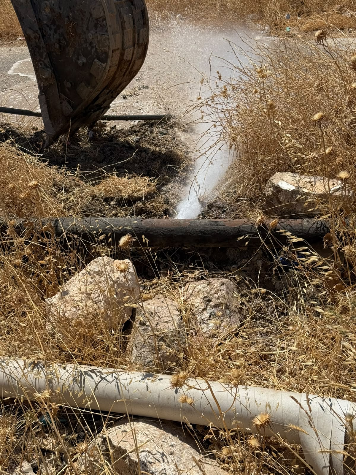 Madar Al-Saa Images 0.3277531973177006