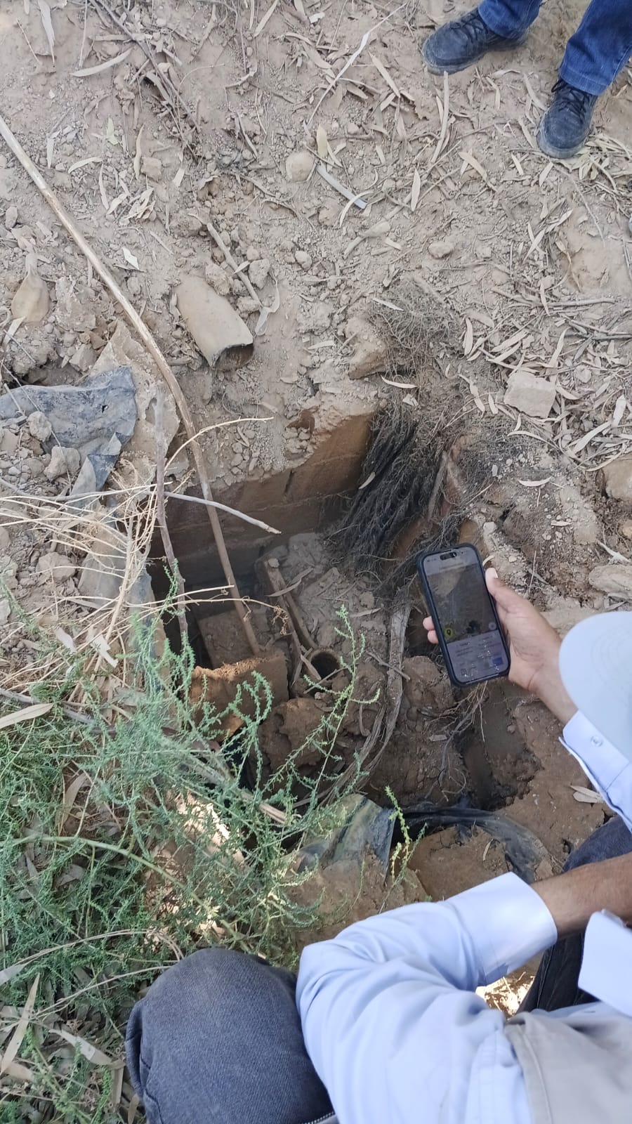 Madar Al-Saa Images 0.46927722239612213