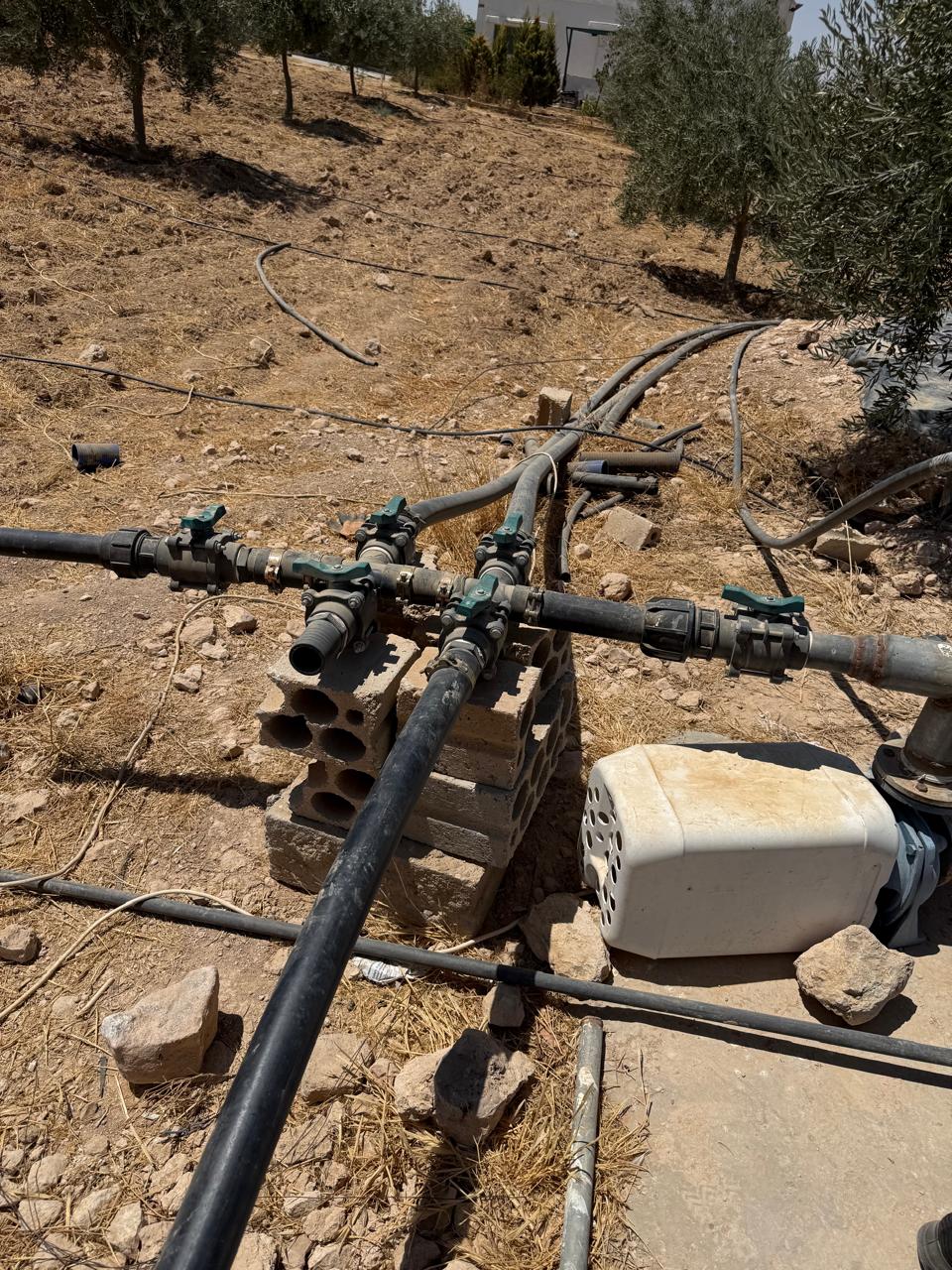 Madar Al-Saa Images 0.8649774393097077