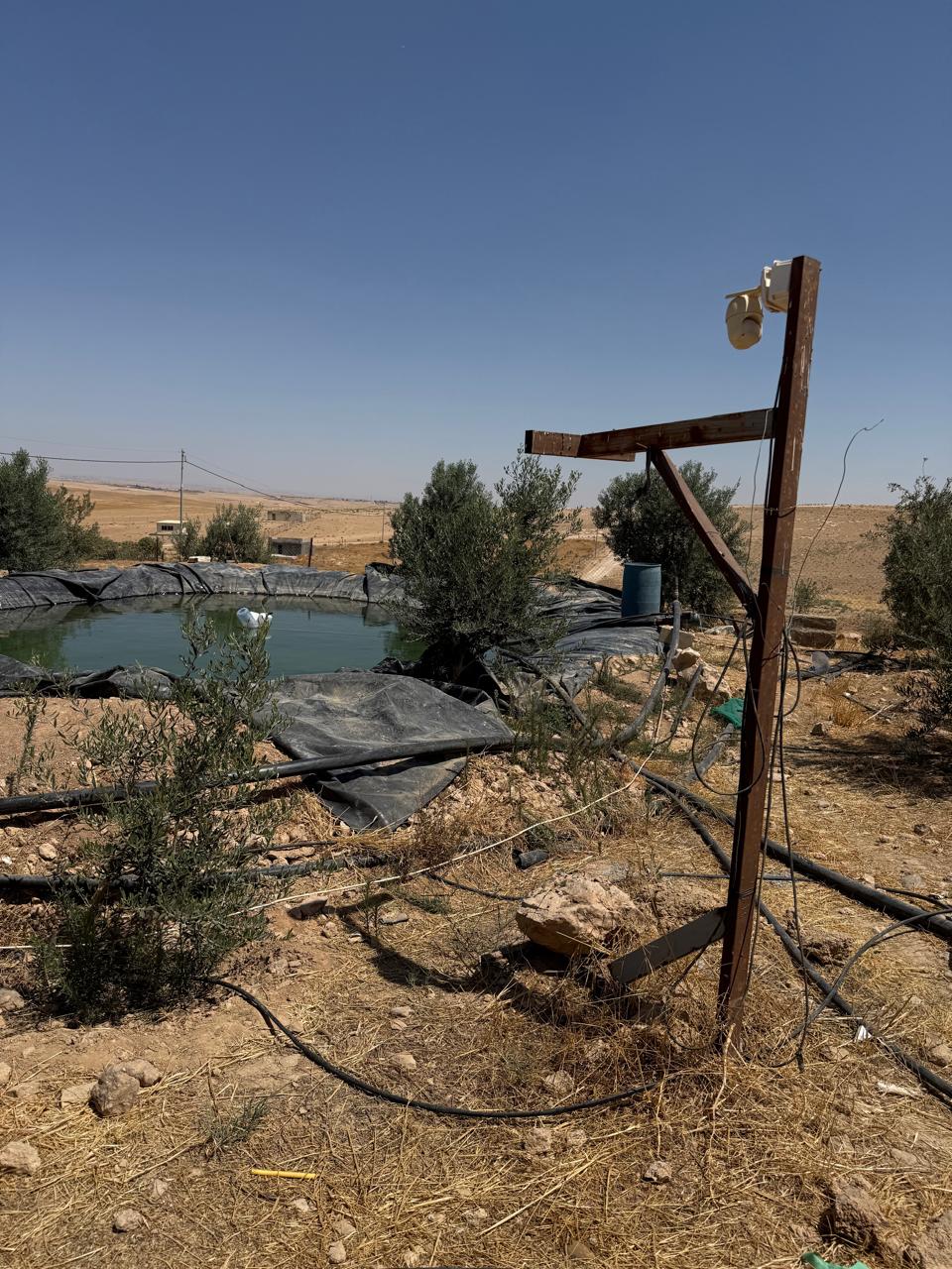 Madar Al-Saa Images 0.7305581094798002