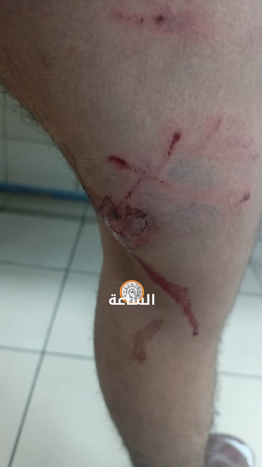 Madar Al-Saa Images 0.7633055598977636