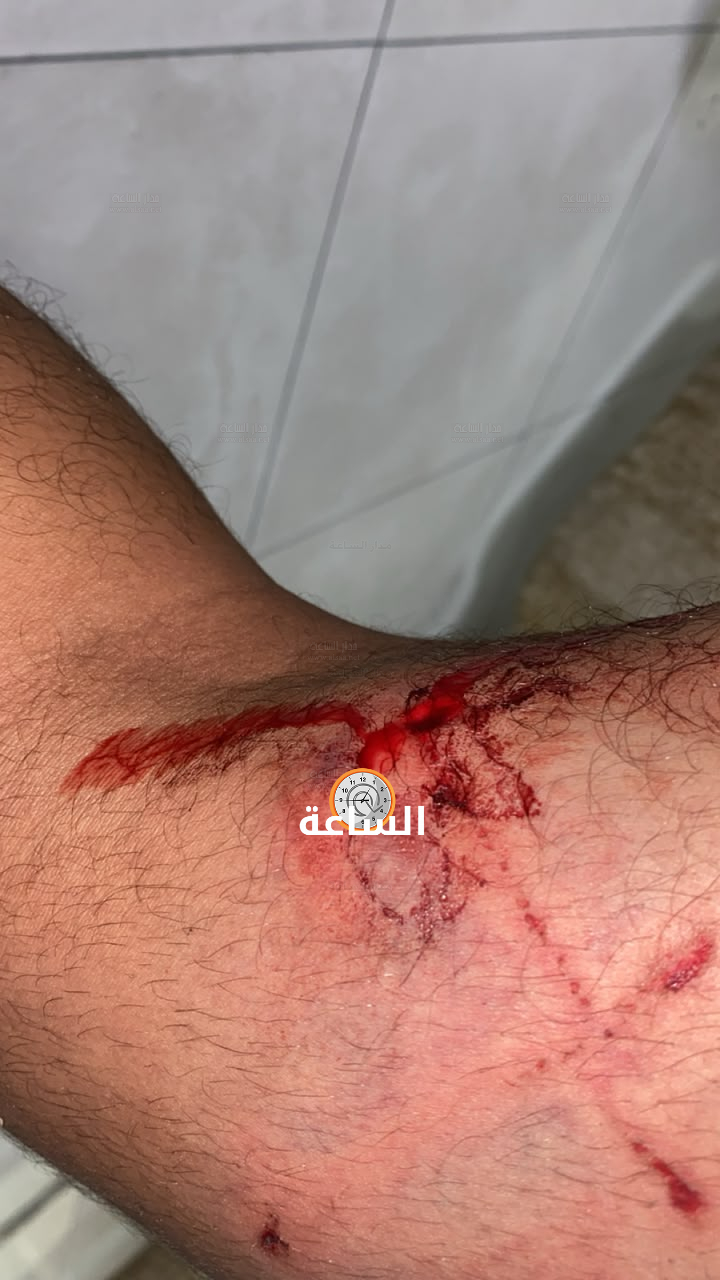 Madar Al-Saa Images 0.19238049251907663