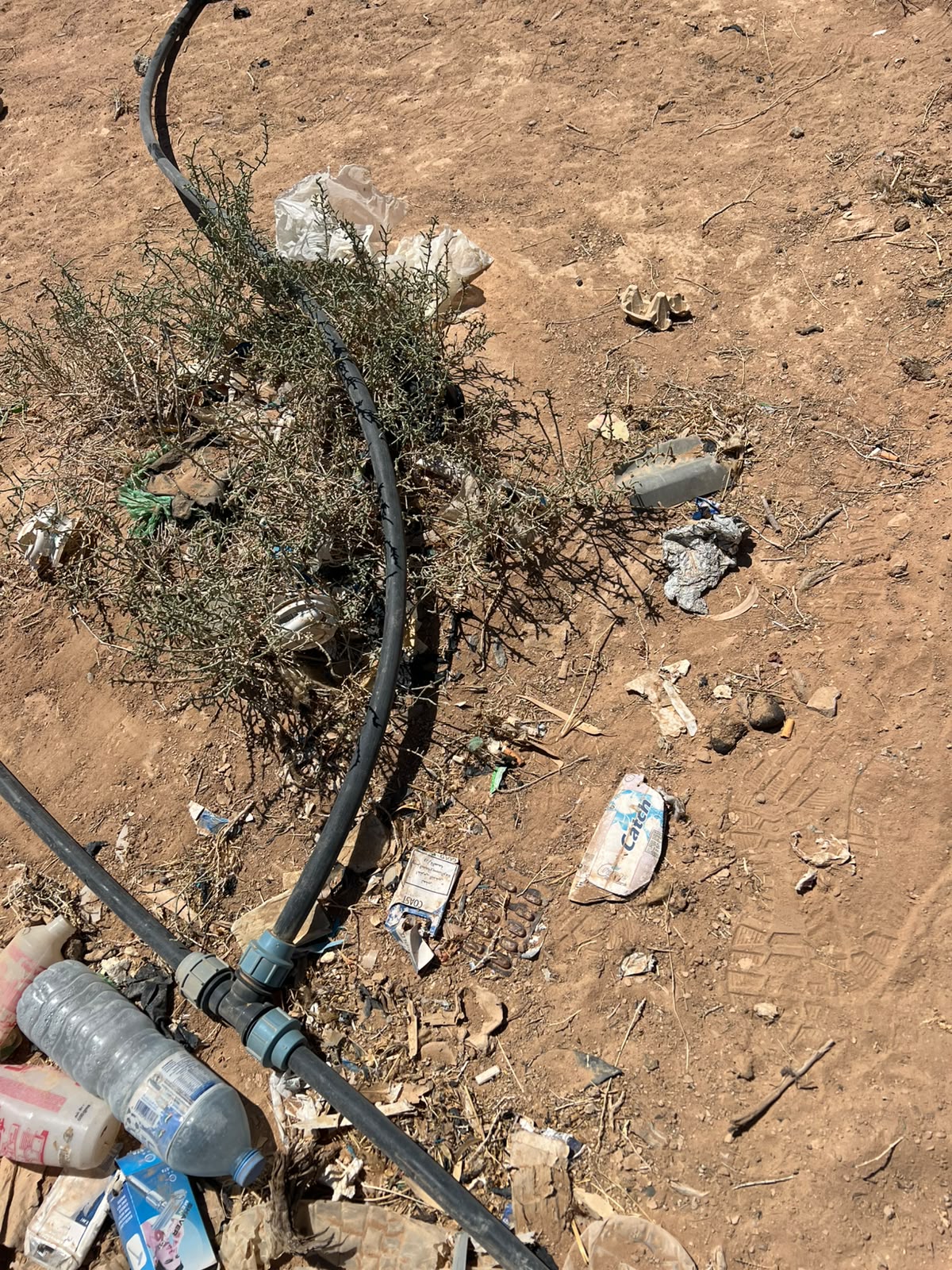 Madar Al-Saa Images 0.3335839492183488