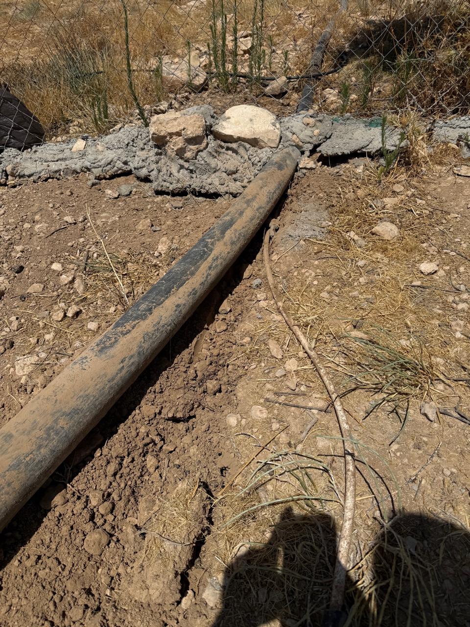 Madar Al-Saa Images 0.16184033008248522