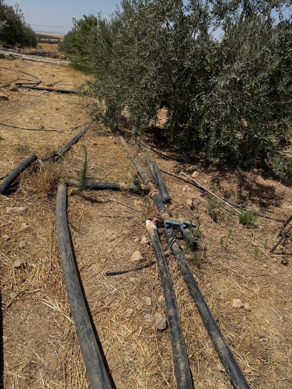 Madar Al-Saa Images 0.6574120563321854