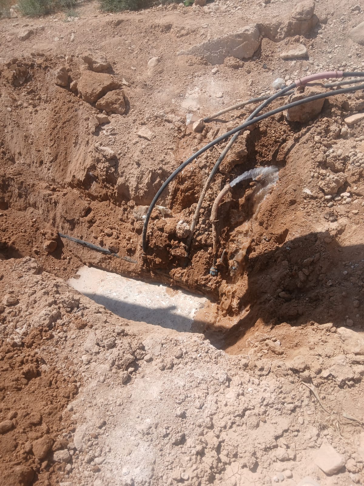 Madar Al-Saa Images 0.22091758840126652