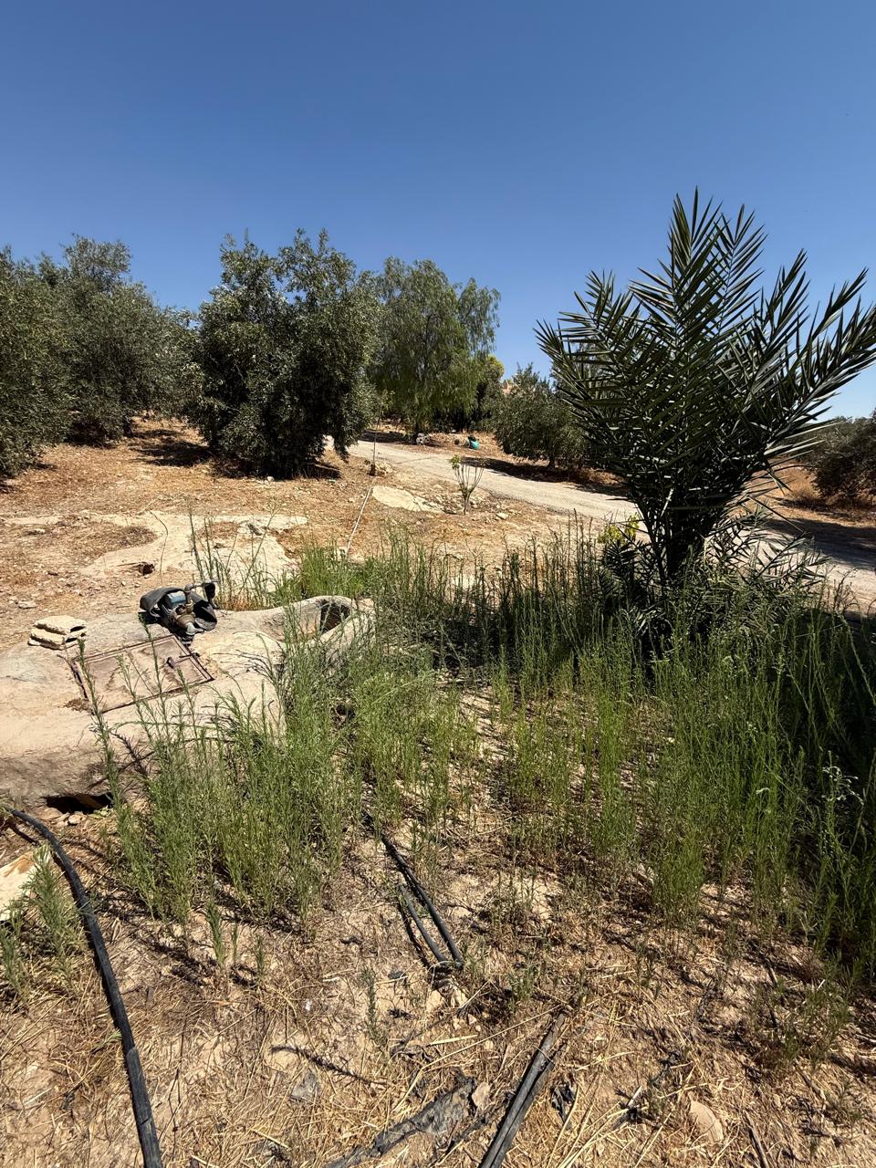 Madar Al-Saa Images 0.5303597743441181