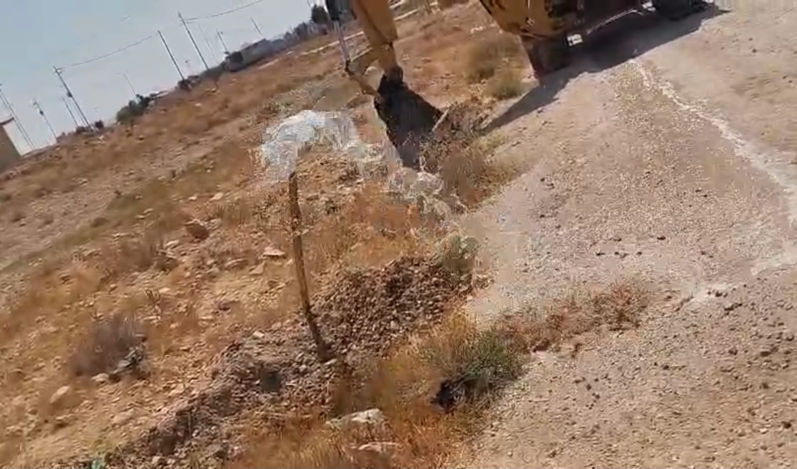 Madar Al-Saa Images 0.9659792801982369