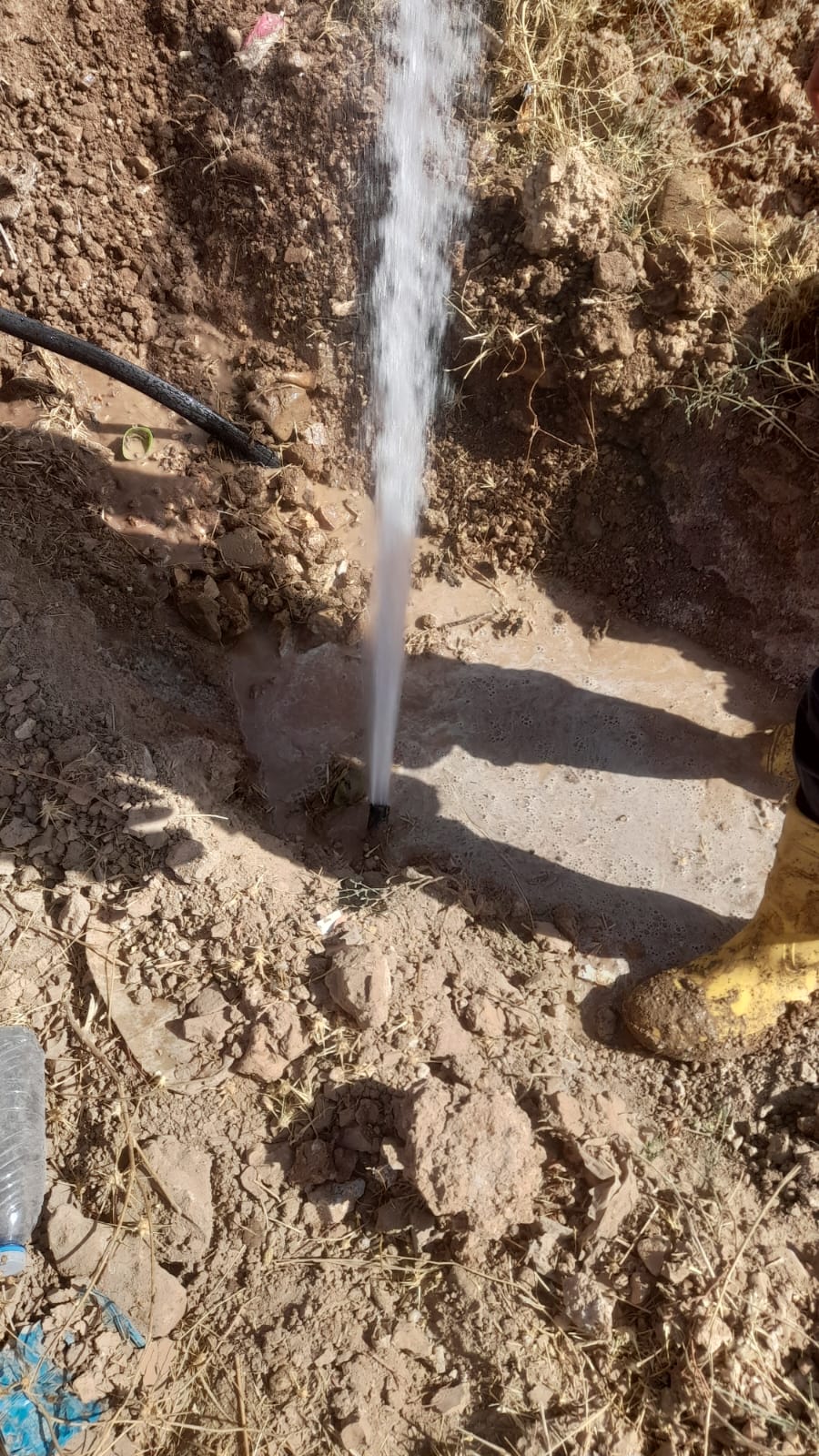 Madar Al-Saa Images 0.02138998406680459