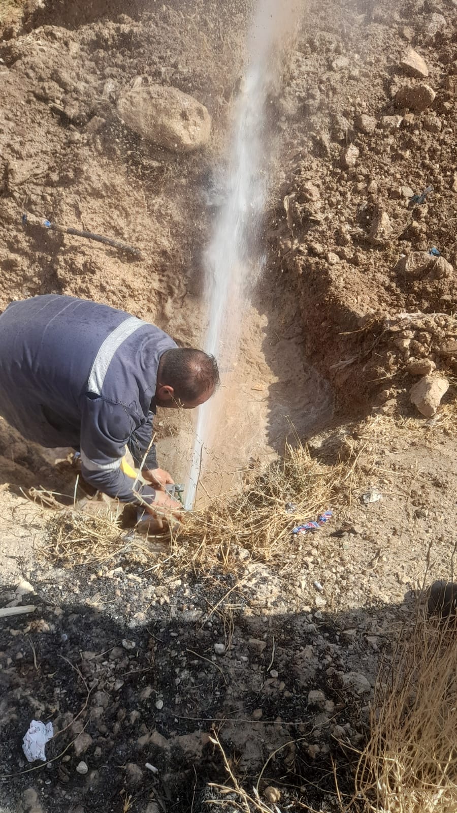 Madar Al-Saa Images 0.9559071425217229