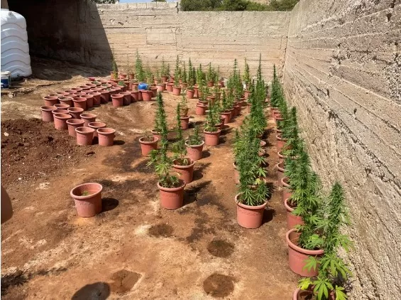 مدار الساعة,أخبار الأردن,اخبار الاردن,مديرية الأمن العام,الأمن العام,إدارة مكافحة المخدرات